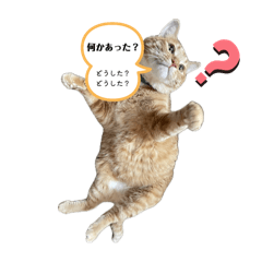 [LINEスタンプ] アズ＆ニコ4