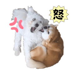 [LINEスタンプ] ニコ＆Yume
