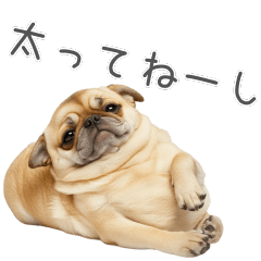 [LINEスタンプ] 実は太ってるチワワ【面白い】