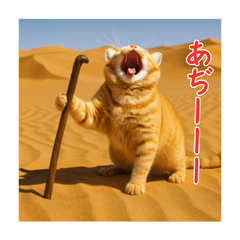 [LINEスタンプ] 動く！リアル猫の夏ミーム