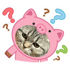 [LINEスタンプ] コロとピノのスタンプ③