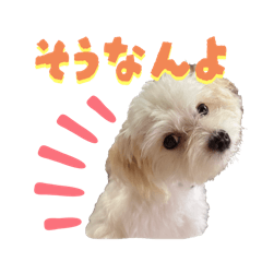 [LINEスタンプ] 堀口家のサンジくん〜秩父弁ver.〜