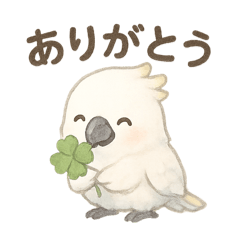 [LINEスタンプ] モフモフ白いオウムのまいにちスタンプ