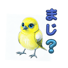 [LINEスタンプ] NEWピーコちゃん 簡単なあいさつ