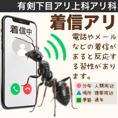 [LINEスタンプ] 架空昆虫生き物図鑑