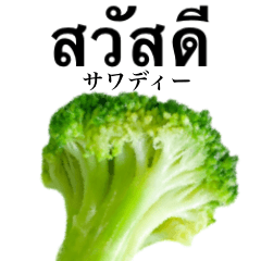 [LINEスタンプ] みずみずしいブロッコリー 【タイ語】