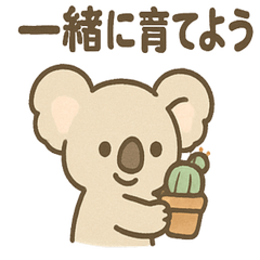 [LINEスタンプ] やさしさコアラの毎日スタンプ
