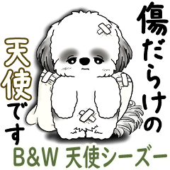 [LINEスタンプ] B＆W シーズー犬 2025 「天使ちゃん」