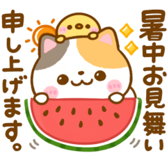 [LINEスタンプ] ねこねこにゃんこ♡夏の気遣い