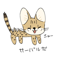 [LINEスタンプ] Crazyなサーバルと愉快な仲間たち