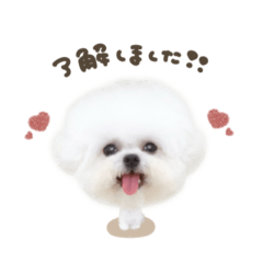 [LINEスタンプ] ハニちゃん♡deformation