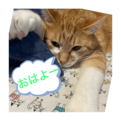 [LINEスタンプ] まるみるスタンプ1