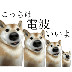 [LINEスタンプ] へんな犬くんたちスタンプ