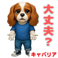 [LINEスタンプ] キャバリアの喜怒哀楽スタンプ1