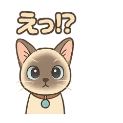 [LINEスタンプ] トンキニーズの？