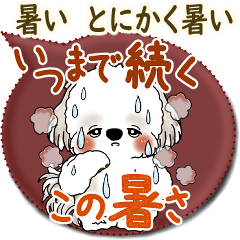 [LINEスタンプ] シーズー犬 2025「とにかく暑い！」