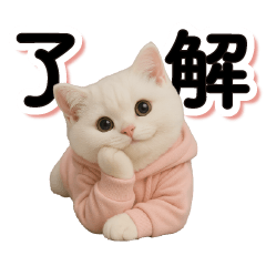 [LINEスタンプ] 一年中使える！白猫の日常スタンプ