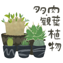 [LINEスタンプ] ずっとつかえる♡大人の多肉・観葉植物