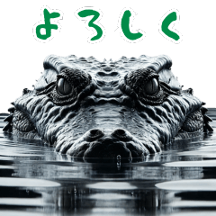 [LINEスタンプ] ワニ×3Dリアル！迫力満点