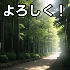 [LINEスタンプ] 夏の木漏れ日スタンプ