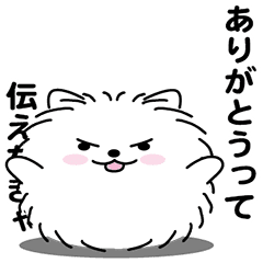 [LINEスタンプ] えっほ！男前ポメラニアン1