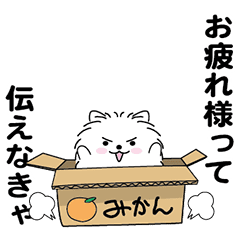 [LINEスタンプ] えっほ！男前ポメラニアン3