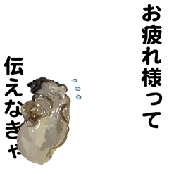 [LINEスタンプ] えっほ！生牡蠣！