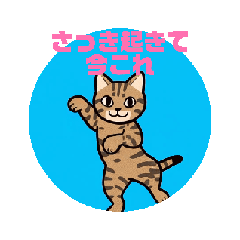 [LINEスタンプ] いつも踊ろうよ