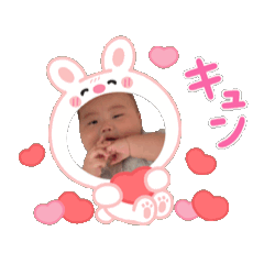 [LINEスタンプ] コーくんと一緒 fetchpriority=high