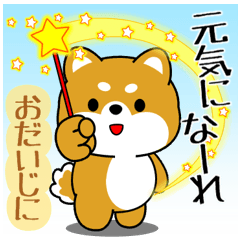 [LINEスタンプ] 飛び出す！丁寧でやさしい豆柴