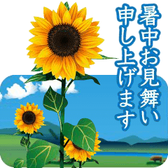 [LINEスタンプ] 【動く 暑中見舞い 夏 サマー】