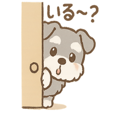 [LINEスタンプ] シュナまるの四季のわくわく日常
