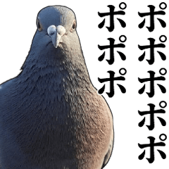 [LINEスタンプ] ポポのポポポポ