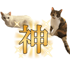 [LINEスタンプ] アルコロちゃん