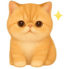 [LINEスタンプ] いとしのエキゾチックショートヘア