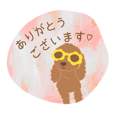[LINEスタンプ] サングラスのトイプードル言葉