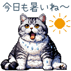 [LINEスタンプ] 夏バテ猫ちゃん【かわいい・連絡】