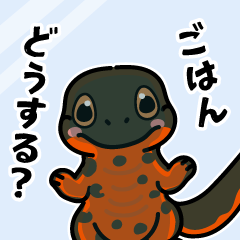 [LINEスタンプ] トカゲ＆イモリ＆カナヘビの日常スタンプ