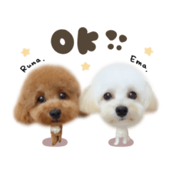 [LINEスタンプ] えまちゃん♡るなちゃんdeformation