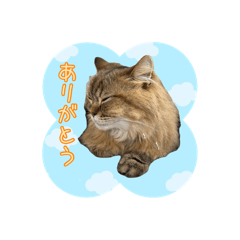 [LINEスタンプ] ミヌエットのみぃくん2
