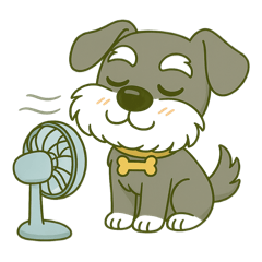 [LINEスタンプ] シュナウザーの日常スタンプ◼︎夏ver.