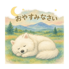 [LINEスタンプ] サモエド みるくねえさん