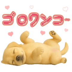 [LINEスタンプ] 犬好きさん用ゴールデンレトリバースタンプ