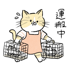 [LINEスタンプ] TNRで使えるかごねこスタンプ 