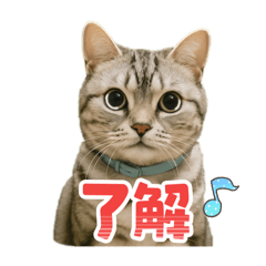 [LINEスタンプ] みみ＆クム
