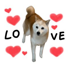 [LINEスタンプ] 世界一可愛いちゃな