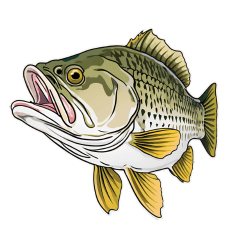 [LINEスタンプ] ブラックバスとその仲間たち【タイ語ver】