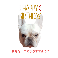 [LINEスタンプ] 甘えん坊わさびさんの日常⑤