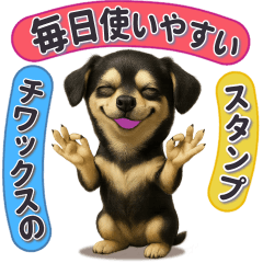 [LINEスタンプ] チワックスの毎日使えるスタンプ