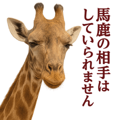 [LINEスタンプ] なかよしどうぶつ図鑑(毒吐くキリンさん)